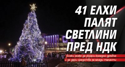 41 елхи палят светлини пред НДК 