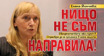 Елена Йончева: Нищо не съм направила!