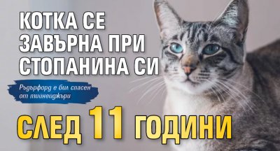 Котка се завърна при стопанина си след 11 години