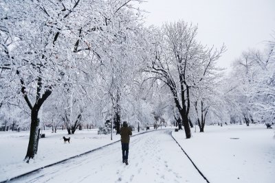 Преди обяд на места ще бъде мъгливо Около и след