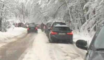 Пътищата в природен парк Витоша   бяха почистени от Столична