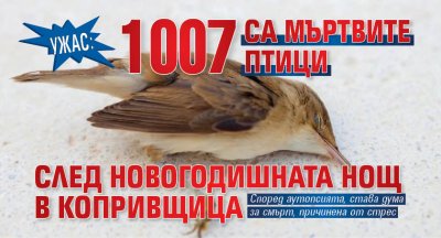 УЖАС: 1007 са мъртвите птици след новогодишната нощ в Копривщица