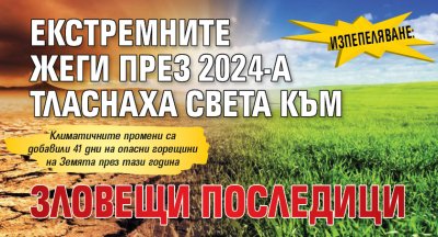 ИЗПЕПЕЛЯВАНЕ: Екстремните жеги през 2024-а тласнаха света към зловещи последици