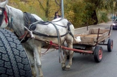 Кола се заби в каруца