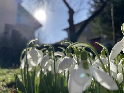 Видимостта днес ще се подобрява и облачността ще се разкъсва