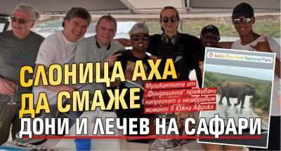 Слоница аха да смаже Дони и Лечев на сафари