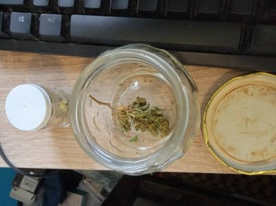 Спецоперация на ченгетата в Шуменско