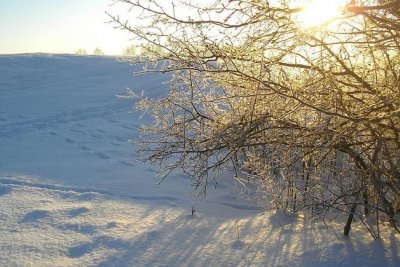 Времето: Слънчево, но студено 