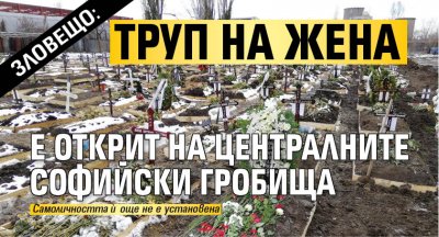 Зловещо: Труп на жена е открит на Централните софийски гробища