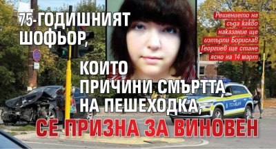 75-годишният шофьор, които причини смъртта на пешеходка, се призна за виновен
