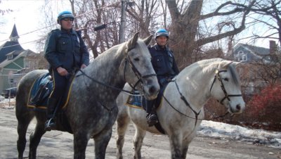 Столичната дирекция на вътрешните работи СДВР обяви обществена поръчка за