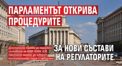 Парламентът открива процедурите за избор на ръководство и състав на