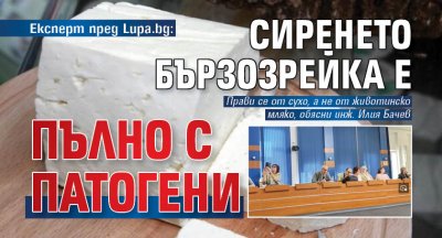 Експерт пред Lupa.bg: Сиренето бързозрейка е пълно с патогени