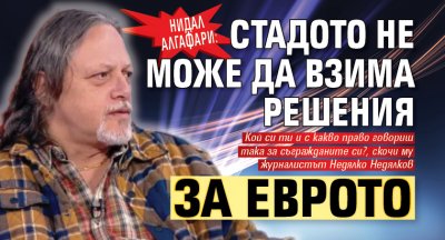 Нидал Алгафари: Стадото не може да взима решения за еврото