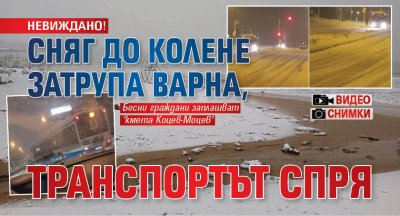 НЕВИЖДАНО! Сняг до колене затрупа Варна, транспортът спря (СНИМКИ+ВИДЕО)