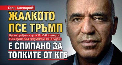 Гари Каспаров: Жалкото псе Тръмп е спипано за топките от КГБ