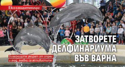 Екозащитници: Затворете Делфинариума във Варна