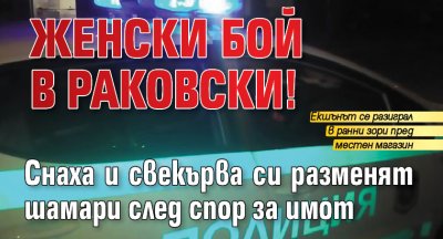 Женски бой в Раковски! Снаха и свекърва си разменят шамари след спор за имот