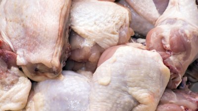БАБХ потвърди: Над 100 тона пилешко със салмонела на пазара