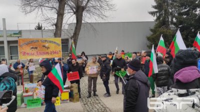 Пчелари в Добрич се вдигнаха на протест срещу фотоволтаиците