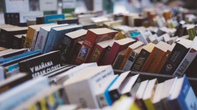 Защо френски книжарници обявяват период "без нови книги"