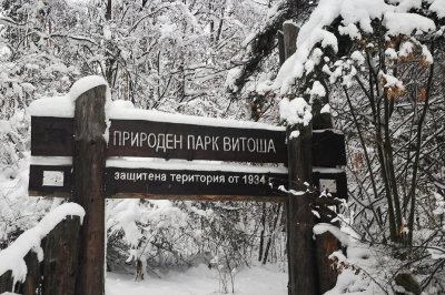 Установеното от Сметната палата систематично и дългогодишно забавяне на приемането