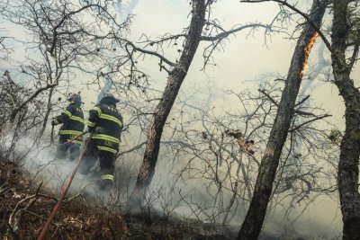 Ню Йорк обяви бедствено положение заради огромен пожар