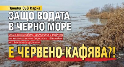 Паника във Варна: Защо водата в Черно море е червено-кафява?!