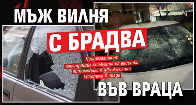 Мъж вилня с брадва във Враца