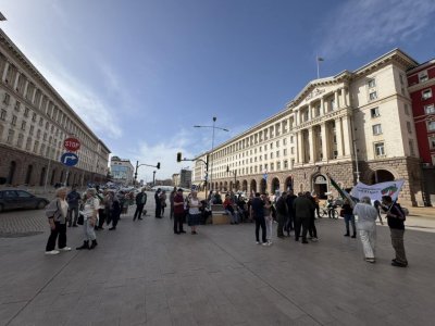 Шепа хора протестират за пълно касиране на изборите в Триъгълника на властта