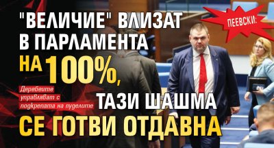 Пеевски: "Величие" влизат в парламента на 100%, тази шашма се готви отдавна