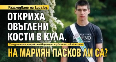 Разследване на Lupa.bg: Откриха овъглени кости в Кула. На Мариян Пасков ли са?