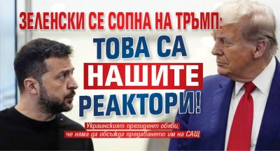 Зеленски се сопна на Тръмп: Това са нашите реактори! 