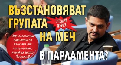 Спешни мерки: Възстановяват групата на МЕЧ в парламента? 