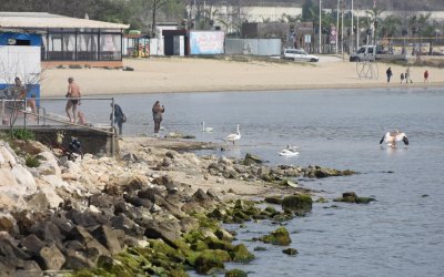 За великденските празници Северното Черноморие се напълни с туристи от