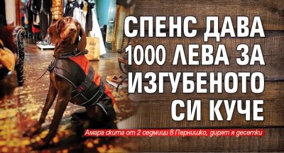 Спенс дава 1000 лева за изгубеното си куче