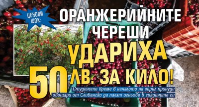 Ценови шок: Оранжерийните череши удариха 50 лв. за кило!