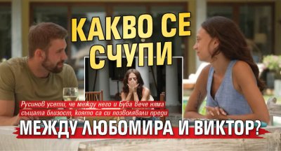 Какво се счупи между Любомира и Виктор?