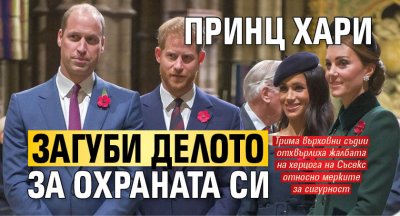 Принц Хари загуби делото за охраната си