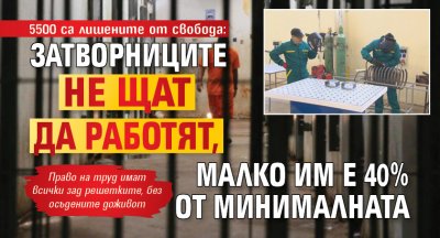 5500 са лишените от свобода: Затворниците не щат да работят, малко им е 40% от минималната 