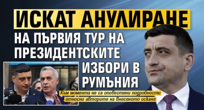 Искат анулиране на първия тур на президентските избори в Румъния