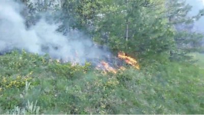 Овладян е пожарът край Невестино