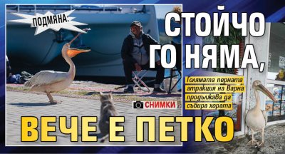 Подмяна: Стойчо го няма, вече е Петко (СНИМКИ)