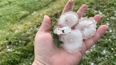 Градушка колкото яйце очука Румъния
