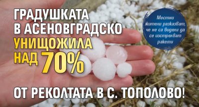Градушката в Асеновградско унищожила над 70% от реколтата в с. Тополово!