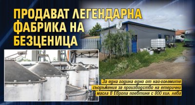 Продават легендарна фабрика на безценица