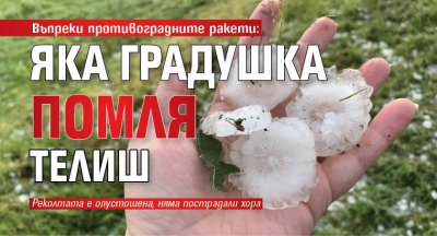 Въпреки противоградните ракети: Яка градушка помля Телиш