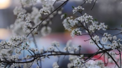 Есенни температури и през тази седмица