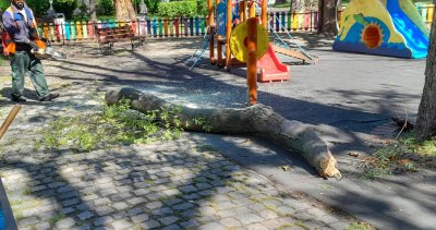 Огромен клон се стовари на детска площадка в центъра на Варна