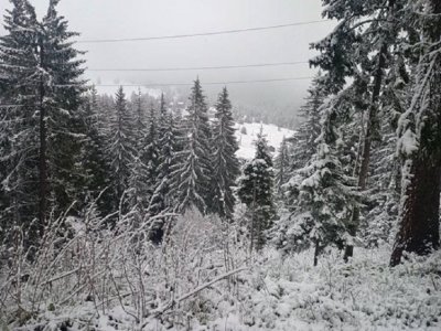 Сняг в Родопите, днес пак ще е студено